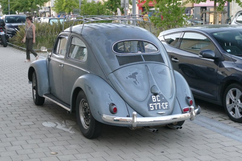 P1400071.JPG