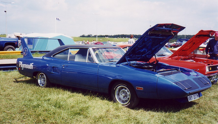 blue_bird_451.jpg