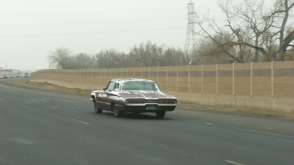 T-Bird.jpg