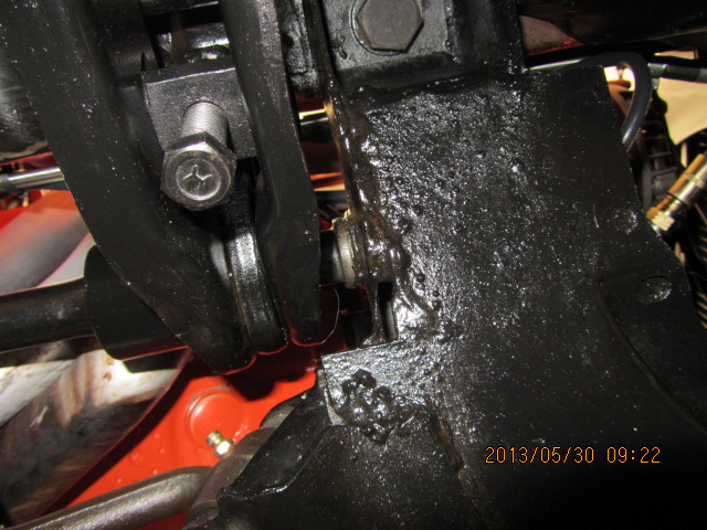 Bee LCA bushes 005.JPG