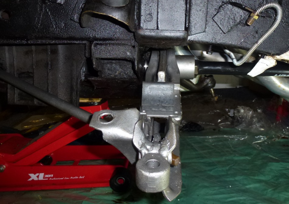 ta-do (sorry on zoom - cant really see the bush bit)