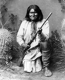 Winchester_Model_1876.jpg